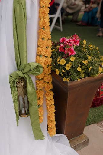 Photo from customer review